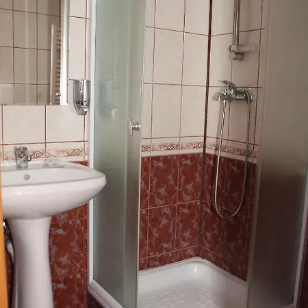 Pensiunea Guest house 3*