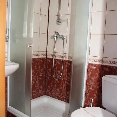 Guest house Pensiunea Timisoara
