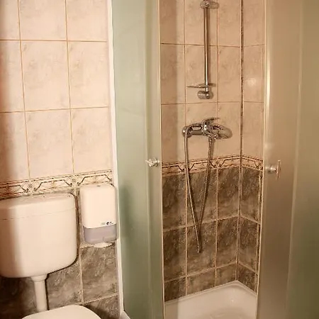 Guest house Pensiunea
