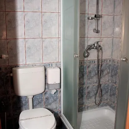 Guest house Pensiunea 3*