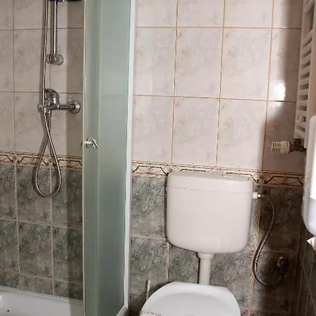 Guest house Pensiunea
