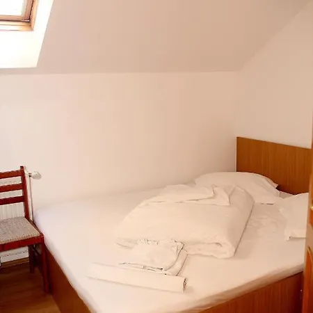 Guest house Pensiunea Timisoara