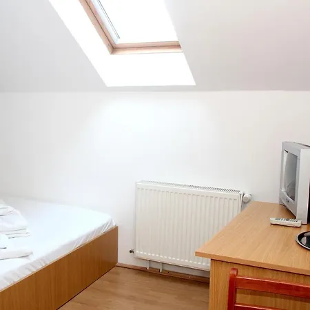 Guest house Pensiunea Timisoara