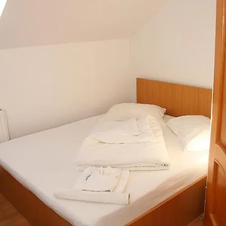 Pensiunea Guest house Timisoara